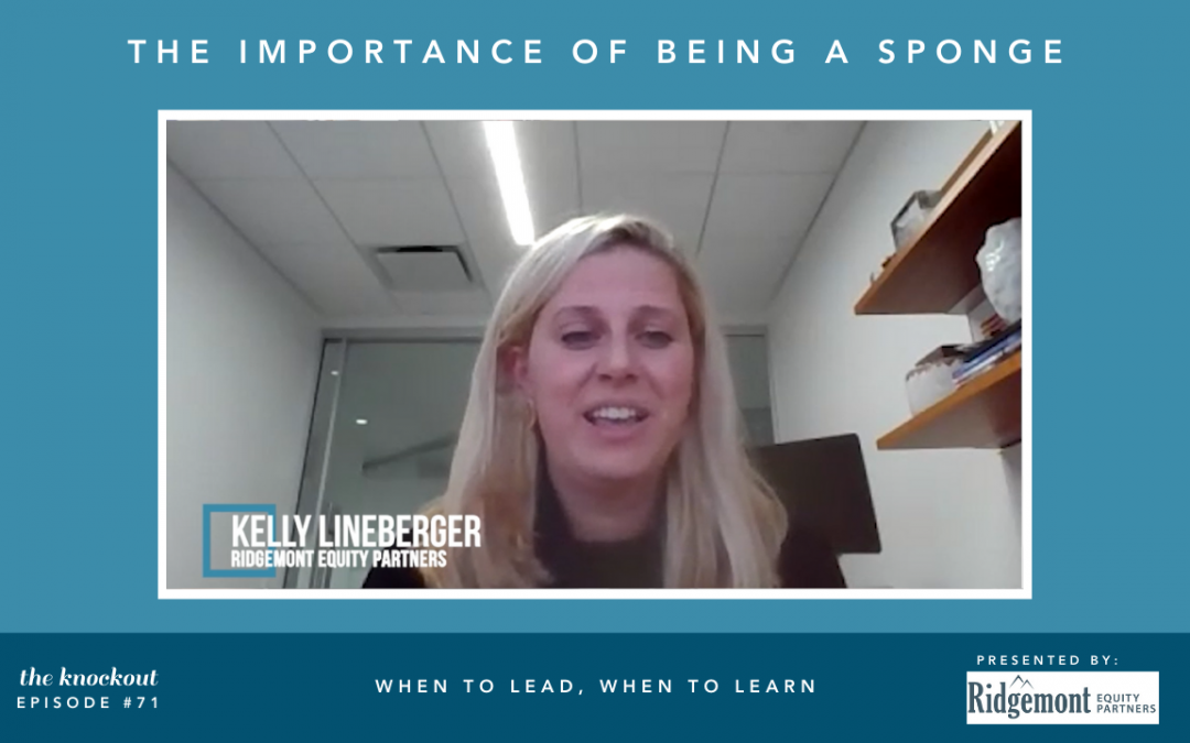 When to Lead, When to Learn 